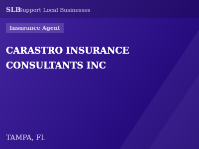 CARASTRO INSURANCE CONSULTANTS INC — Insurance Agent in TAMPA, FL