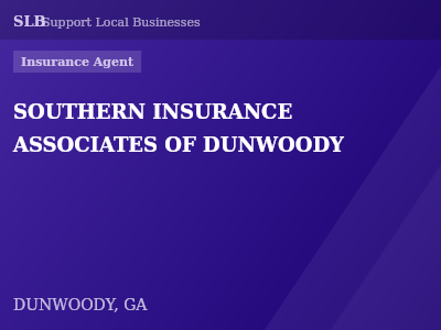SOUTHERN INSURANCE ASSOCIATES OF DUNWOODY — Insurance Agent in DUNWOODY, GA