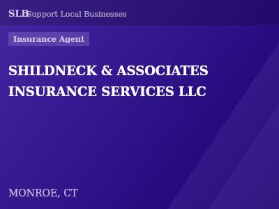SHILDNECK & ASSOCIATES INSURANCE SERVICES LLC — Insurance Agent in MONROE, CT