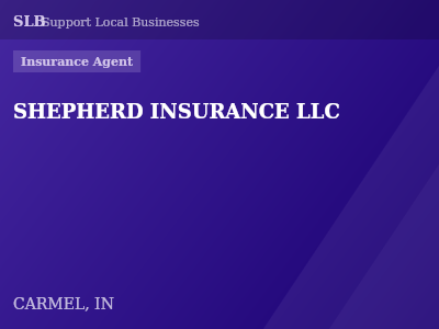 SHEPHERD INSURANCE LLC — Insurance Agent in CARMEL, IN