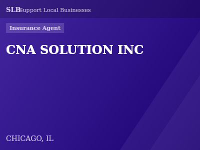 CNA SOLUTION INC — Insurance Agent in CHICAGO, IL