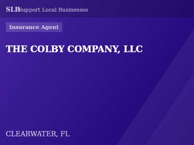 THE COLBY COMPANY, LLC — Insurance Agent in CLEARWATER, FL