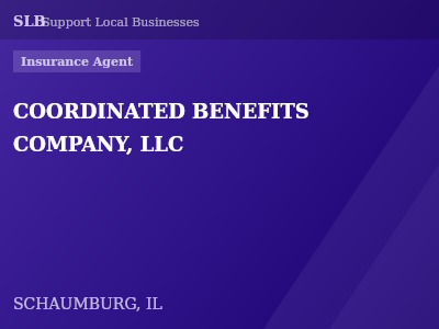 COORDINATED BENEFITS COMPANY, LLC — Insurance Agent in SCHAUMBURG, IL