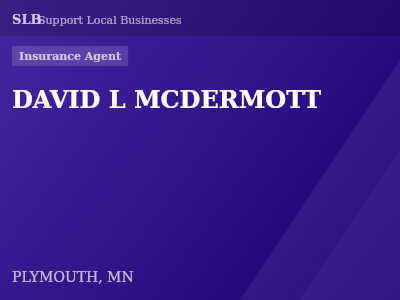 DAVID L MCDERMOTT — Insurance Agent in PLYMOUTH, MN