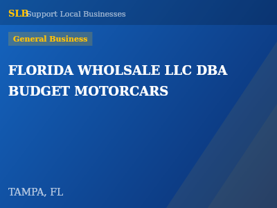 FLORIDA WHOLSALE LLC DBA BUDGET MOTORCARS — General Business in TAMPA, FL
