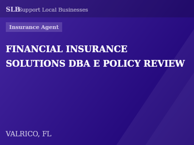 FINANCIAL INSURANCE SOLUTIONS DBA E POLICY REVIEW — Insurance Agent in VALRICO, FL