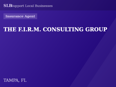 THE F.I.R.M. CONSULTING GROUP — Insurance Agent in TAMPA, FL