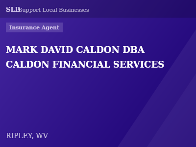 MARK DAVID CALDON DBA CALDON FINANCIAL SERVICES — Insurance Agent in RIPLEY, WV