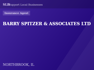 BARRY SPITZER & ASSOCIATES LTD — Insurance Agent in NORTHBROOK, IL