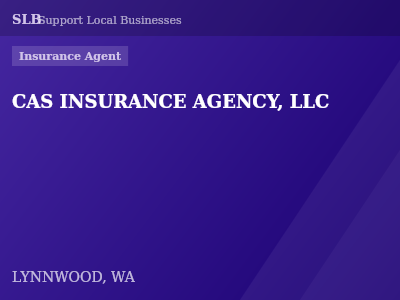 CAS INSURANCE AGENCY, LLC — Insurance Agent in LYNNWOOD, WA