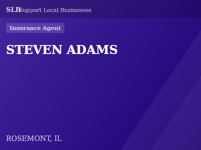 STEVEN ADAMS — Insurance Agent in ROSEMONT, IL