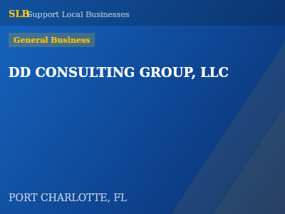 DD CONSULTING GROUP, LLC — General Business in PORT CHARLOTTE, FL