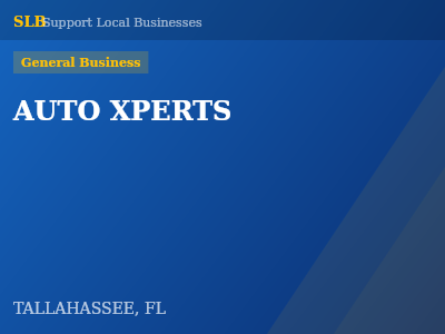 AUTO XPERTS — General Business in TALLAHASSEE, FL