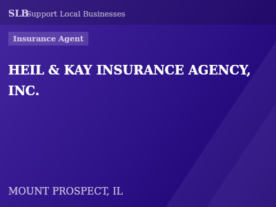 HEIL & KAY INSURANCE AGENCY, INC. — Insurance Agent in MOUNT PROSPECT, IL