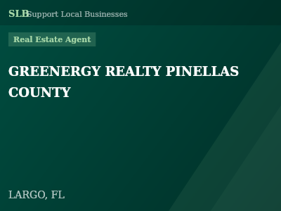 GREENERGY REALTY PINELLAS COUNTY — Real Estate Agent in LARGO, FL