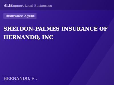 SHELDON-PALMES INSURANCE OF HERNANDO, INC — Insurance Agent in HERNANDO, FL