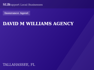 DAVID M WILLIAMS AGENCY — Insurance Agent in TALLAHASSEE, FL