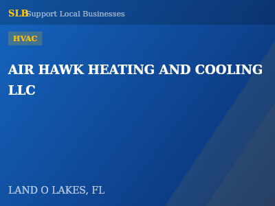 AIR HAWK HEATING AND COOLING LLC — HVAC in LAND O LAKES, FL