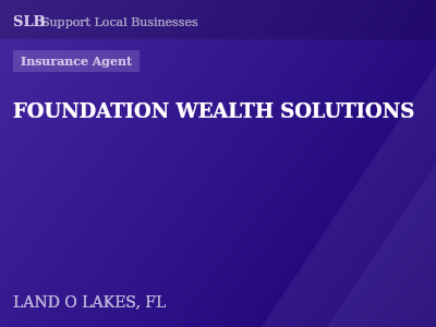 FOUNDATION WEALTH SOLUTIONS — Insurance Agent in LAND O LAKES, FL