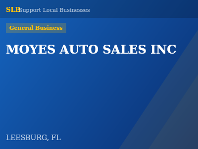MOYES AUTO SALES INC — General Business in LEESBURG, FL