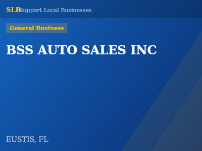 BSS AUTO SALES INC — General Business in EUSTIS, FL
