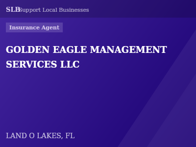 GOLDEN EAGLE MANAGEMENT SERVICES LLC — Insurance Agent in LAND O LAKES, FL