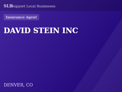 DAVID STEIN INC — Insurance Agent in DENVER, CO