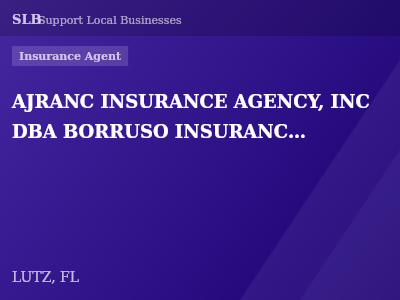 AJRANC INSURANCE AGENCY, INC DBA BORRUSO INSURANCE GROUP — Insurance Agent in LUTZ, FL