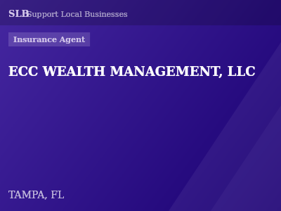 ECC WEALTH MANAGEMENT, LLC — Insurance Agent in TAMPA, FL