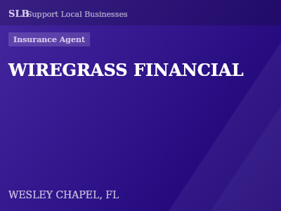 WIREGRASS FINANCIAL — Insurance Agent in WESLEY CHAPEL, FL
