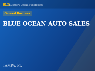 BLUE OCEAN AUTO SALES — General Business in TAMPA, FL