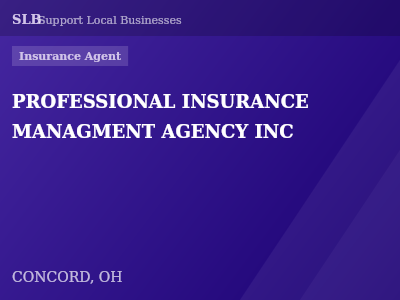 PROFESSIONAL INSURANCE MANAGMENT AGENCY INC — Insurance Agent in CONCORD, OH