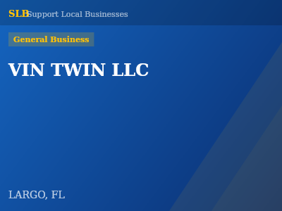 VIN TWIN LLC — General Business in LARGO, FL
