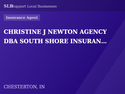 CHRISTINE J NEWTON AGENCY DBA SOUTH SHORE INSURANCE — Insurance Agent in CHESTERTON, IN
