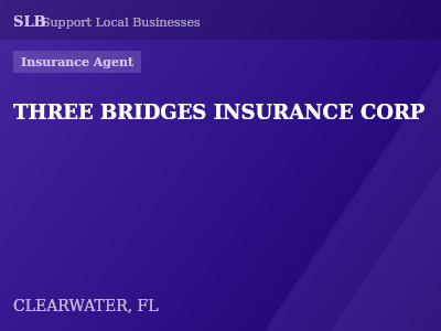THREE BRIDGES INSURANCE CORP — Insurance Agent in CLEARWATER, FL