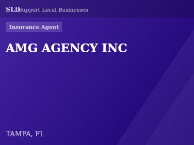 AMG AGENCY INC — Insurance Agent in TAMPA, FL