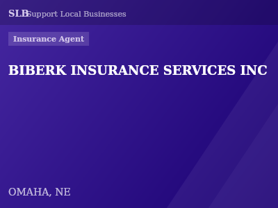 BIBERK INSURANCE SERVICES INC — Insurance Agent in OMAHA, NE
