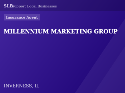 MILLENNIUM MARKETING GROUP — Insurance Agent in INVERNESS, IL