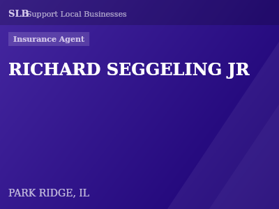 RICHARD SEGGELING JR — Insurance Agent in PARK RIDGE, IL
