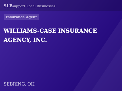 WILLIAMS-CASE INSURANCE AGENCY, INC. — Insurance Agent in SEBRING, OH