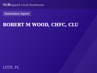 ROBERT M WOOD, CHFC, CLU — Insurance Agent in LUTZ, FL