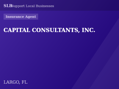 CAPITAL CONSULTANTS, INC. — Insurance Agent in LARGO, FL