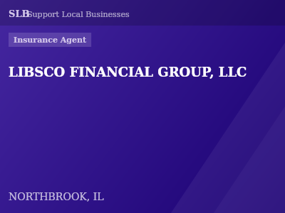 LIBSCO FINANCIAL GROUP, LLC — Insurance Agent in NORTHBROOK, IL