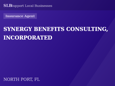 SYNERGY BENEFITS CONSULTING, INCORPORATED — Insurance Agent in NORTH PORT, FL