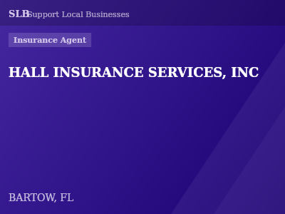 HALL INSURANCE SERVICES, INC — Insurance Agent in BARTOW, FL