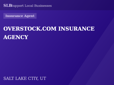 OVERSTOCK.COM INSURANCE AGENCY — Insurance Agent in SALT LAKE CTIY, UT