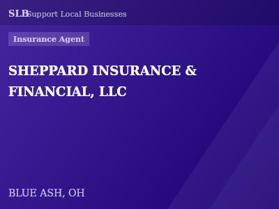 SHEPPARD INSURANCE & FINANCIAL, LLC — Insurance Agent in BLUE ASH, OH