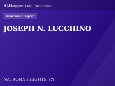 JOSEPH N. LUCCHINO — Insurance Agent in NATRONA HEIGHTS, PA