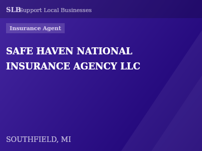 SAFE HAVEN NATIONAL INSURANCE AGENCY LLC — Insurance Agent in SOUTHFIELD, MI