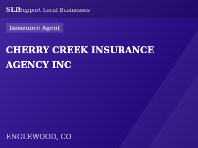 CHERRY CREEK INSURANCE AGENCY INC — Insurance Agent in ENGLEWOOD, CO